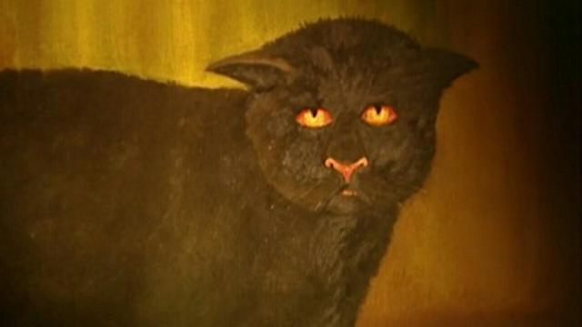 Cattle Mutilations, Croc Horror, Black Cat of Killakee