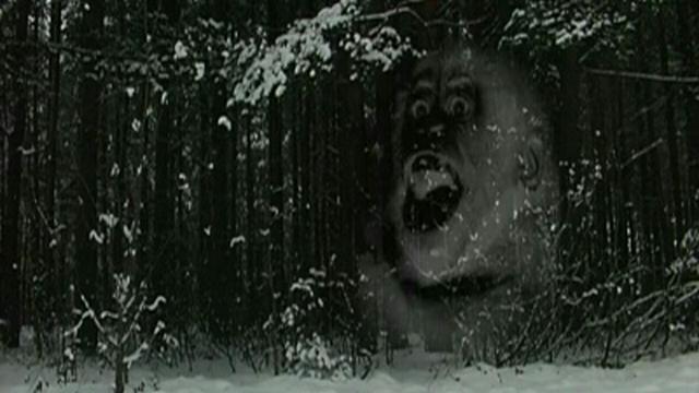 Yeti, Hypnotising Dog, Thylacine