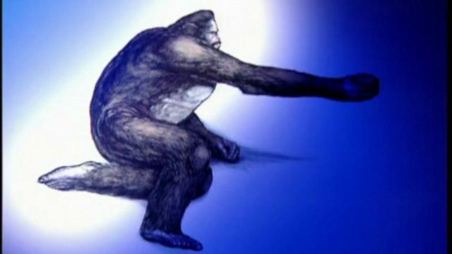 Bigfoot Special