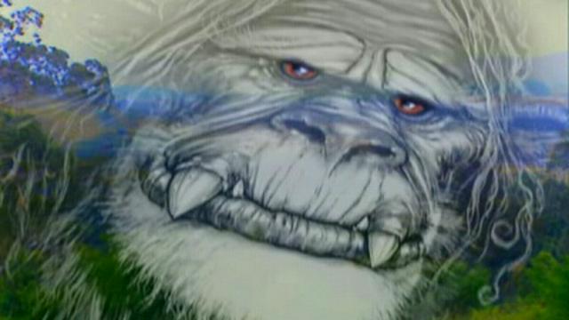 Animal Heroes, Yowie, Telepathic Parrot