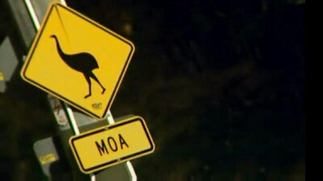 Moa, Animal Superstitions, Drain Dwellers
