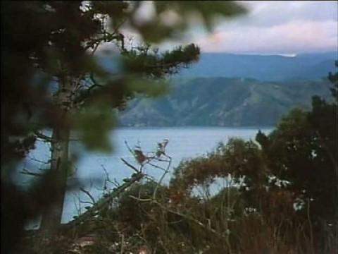 The Lake