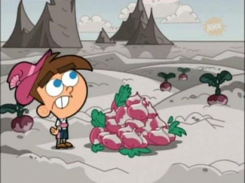 Timmy e le rape