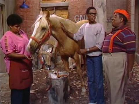 A Horse Is Not a Home