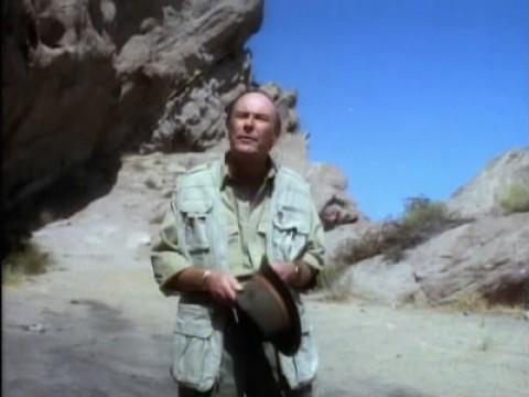 Dino-Clip