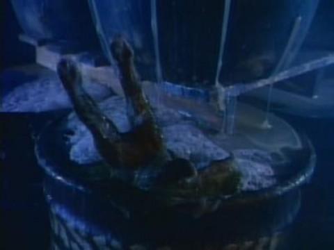 The Resurrection (1)