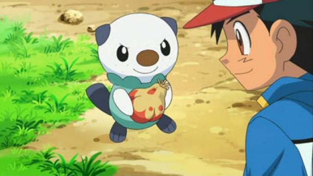 Oshawott's Lost Scalchop!