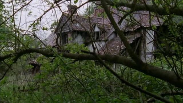 The House in the Woods