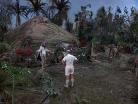 Hurrikan-Warnung für ein Paradies/Schwiegertochters Stiefbruder/Übertreibung mit Folgen