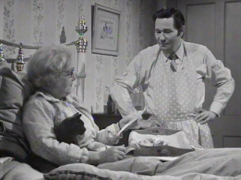 Family Flu
