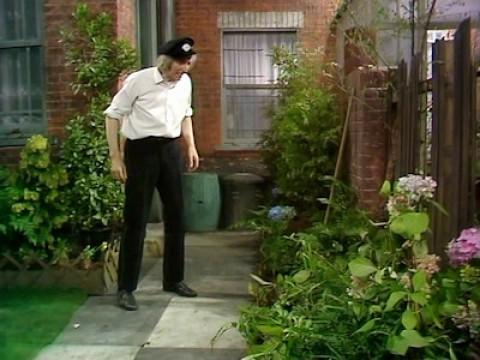 Gardening Time