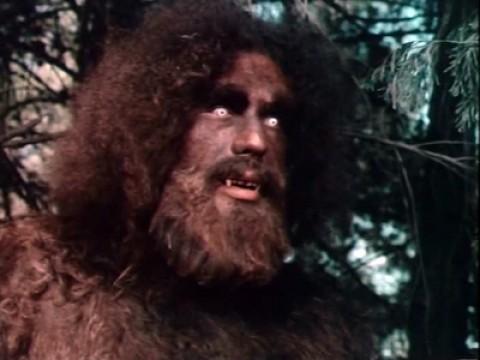 The Secret of Bigfoot (1)