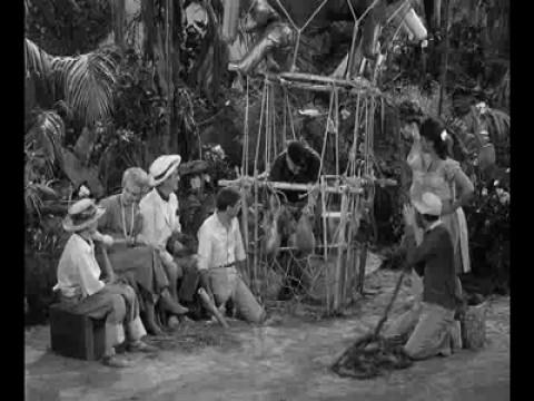 Gilligan Meets Jungle Boy