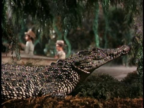 Aanval van de alligators