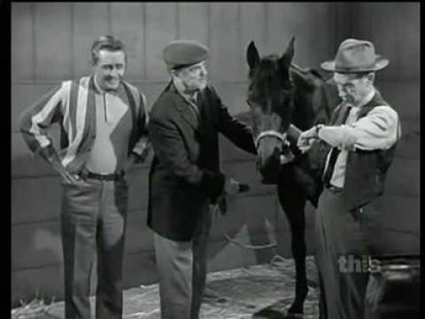 Ed the Horse Doctor
