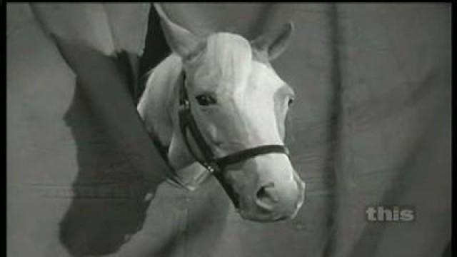 Horse of a Different Color