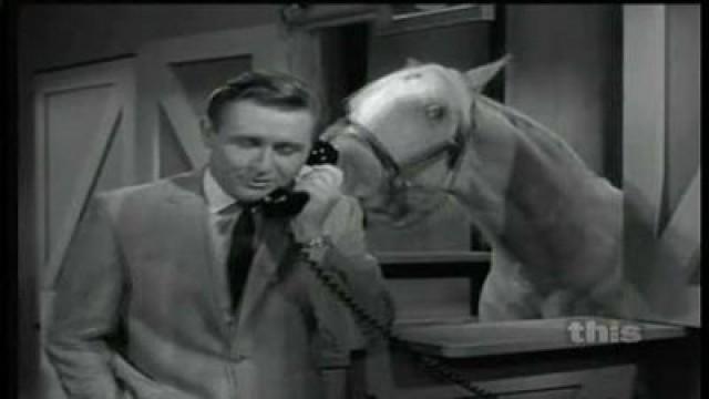 Leo Durocher Meets Mister Ed