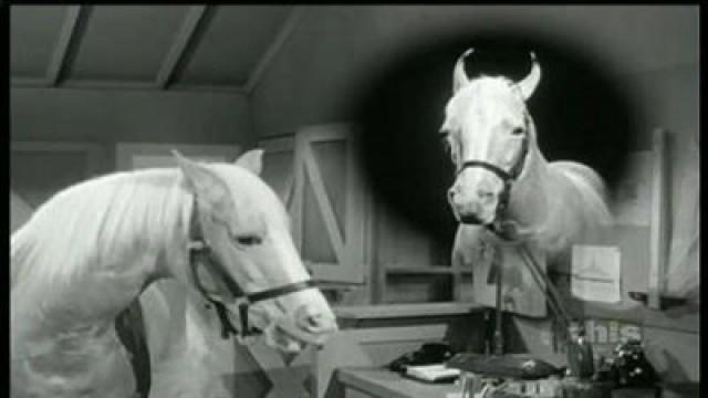 Saddles and Gowns