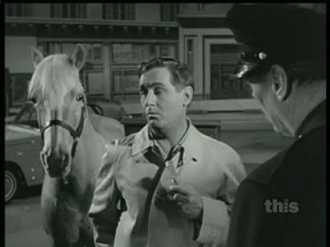 My Horse, the Mailman