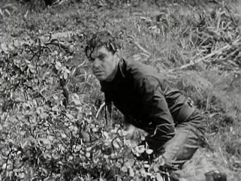 Bill Longley