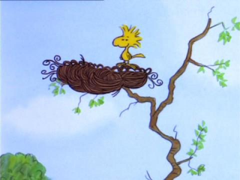 It's a Mystery, Charlie Brown