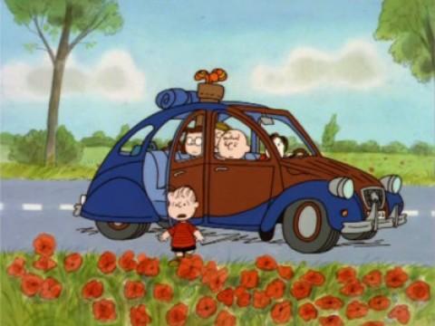 What Have We Learned, Charlie Brown?
