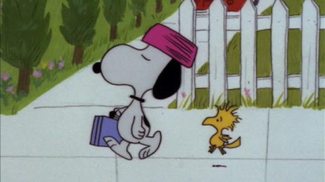 Snoopy Come Home