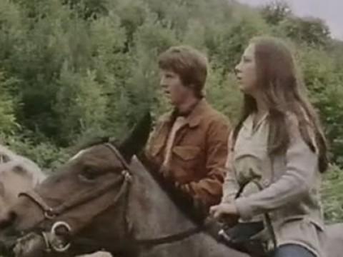 The Quarry