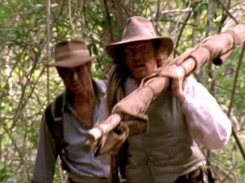 Survivors