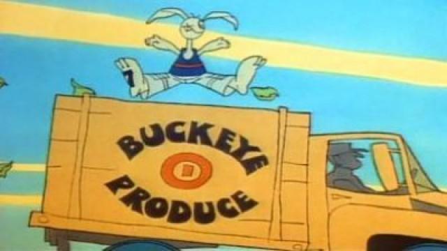 Lucky Seven Sampson
