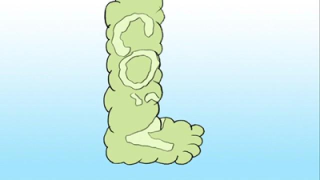 Don't Be a Carbon Sasquatch