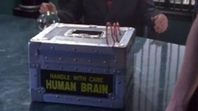 The Great Brain Robbery