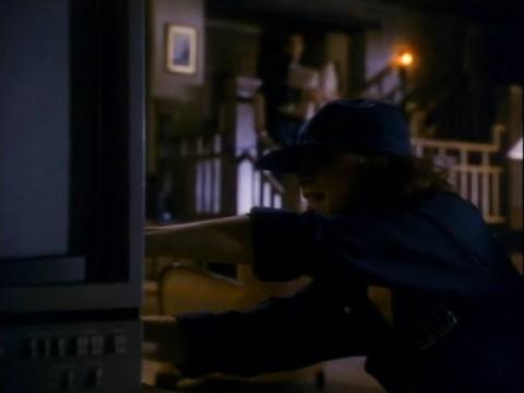 Vigilando a los detectives