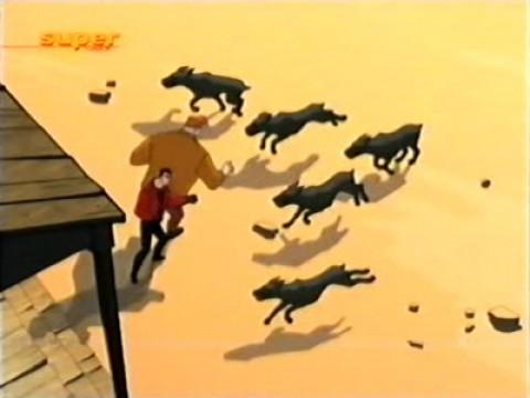 Operation Wolf
