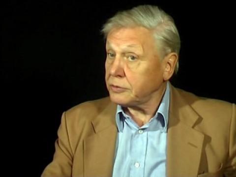 Sir David Attenborough Remembers The Ascent of Man