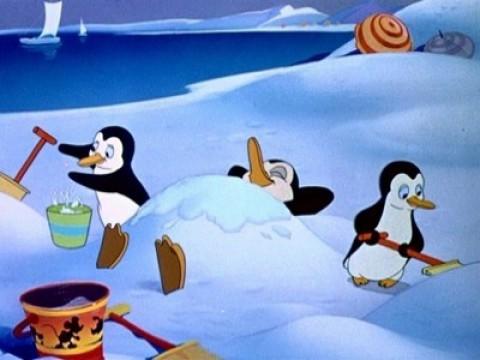 The Cold Blooded Penguin