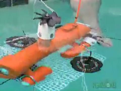 Under the Sea with an R.O.V.