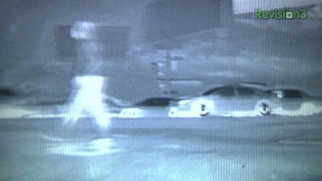 Add Night Vision To Your Car: Avoid Suicidal Deer