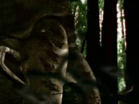 The Tentacled Forest