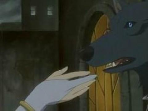 Sospetti