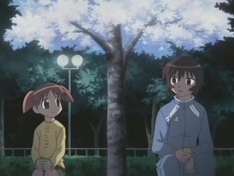 Una noche de primavera