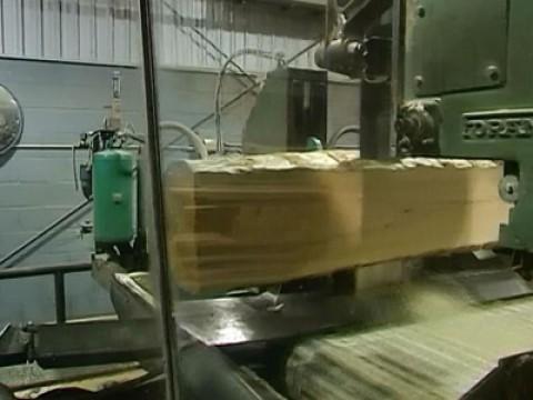 At the Sawmill