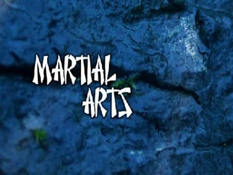 Jobs for the Boyos - Martial Arts