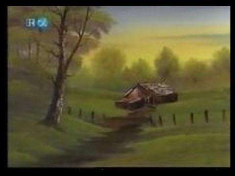 Delightful Meadow Home