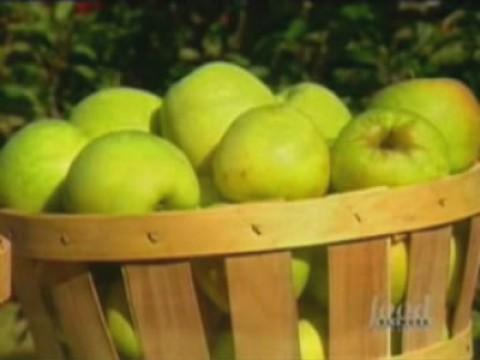 Connecticut: Apple Cider