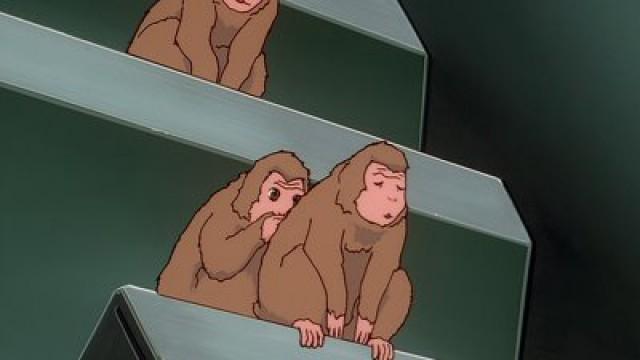 Monkey Salvage Combo