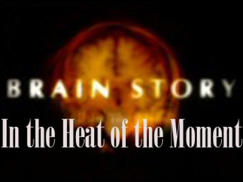 In the Heat of the Moment
