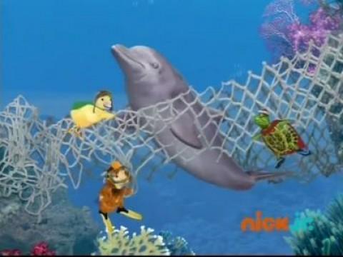 Les Wonder Choux sauvent un dauphin