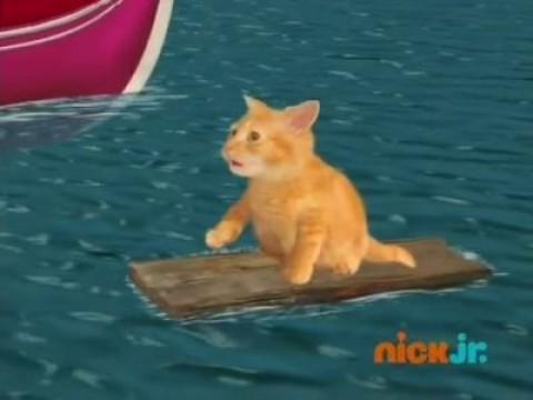 Les Wonder Choux sauvent un chaton