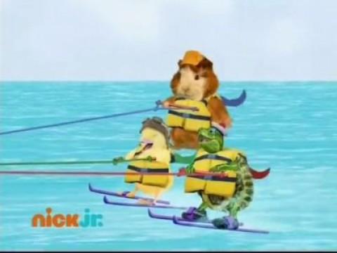 Les Wonder Choux sauvent la tortue